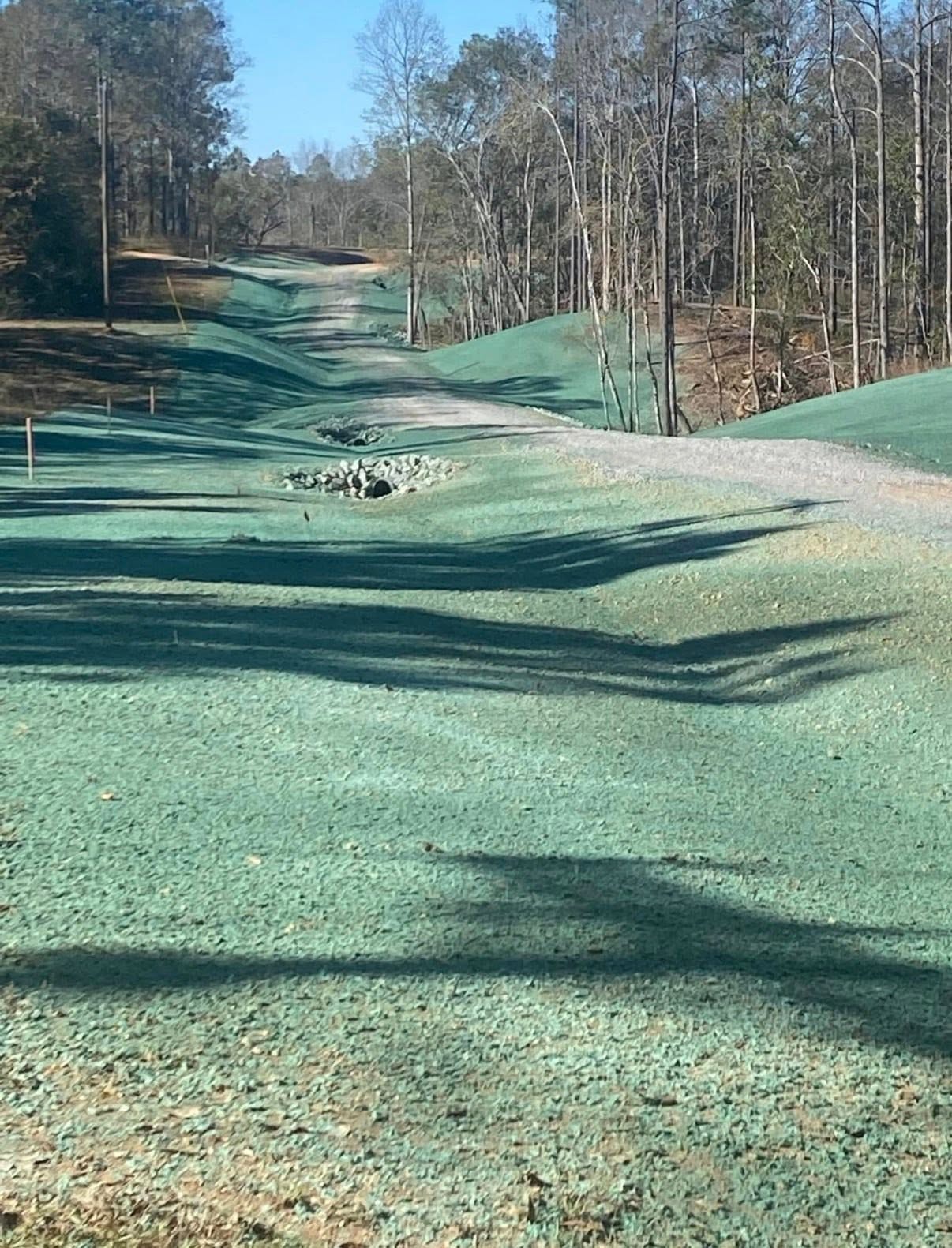 Hydroseeding green results