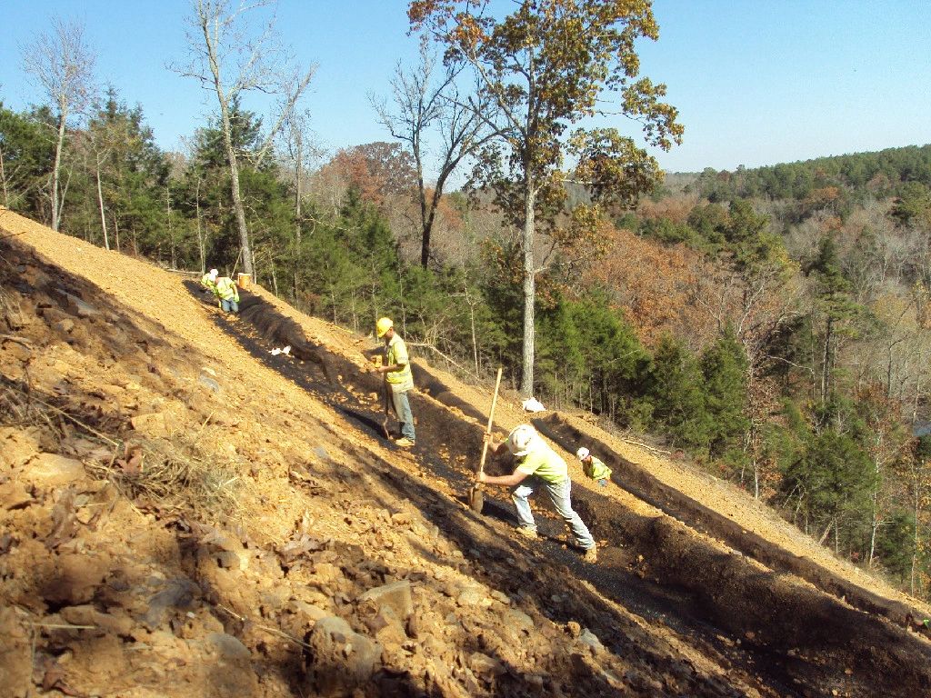 Site reclamation vegetation