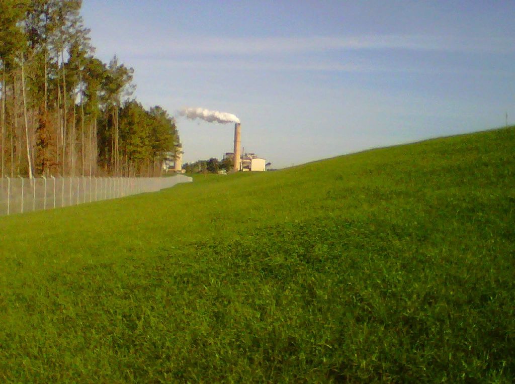 Forestry Mulching